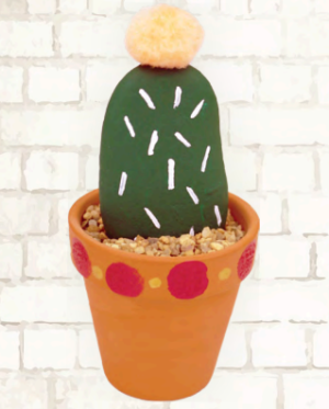 Cactus craft