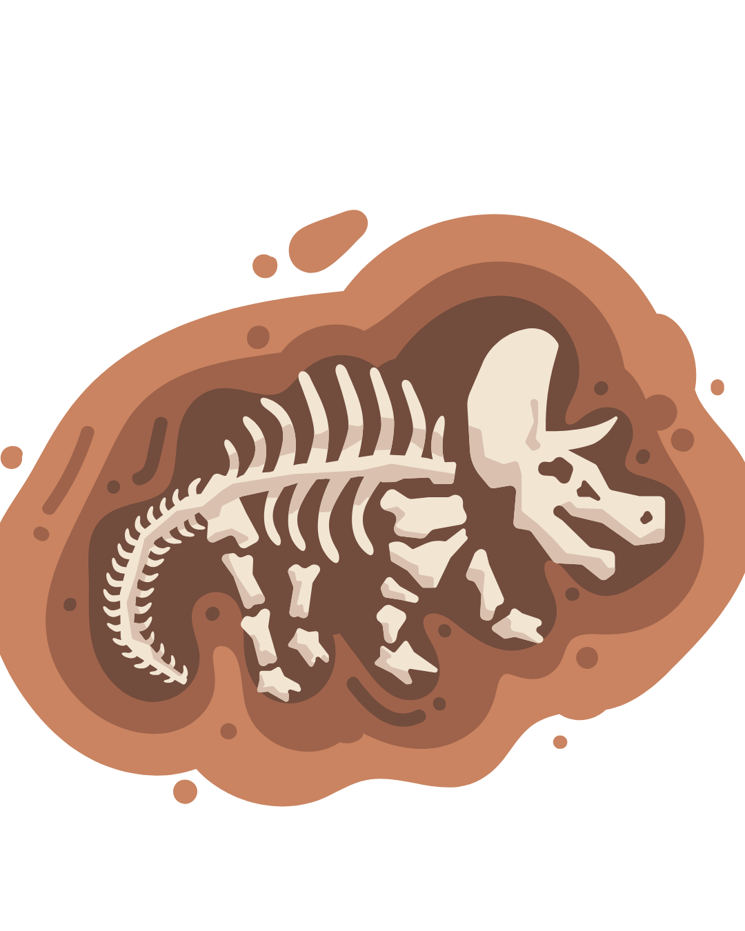 dinosaur bones