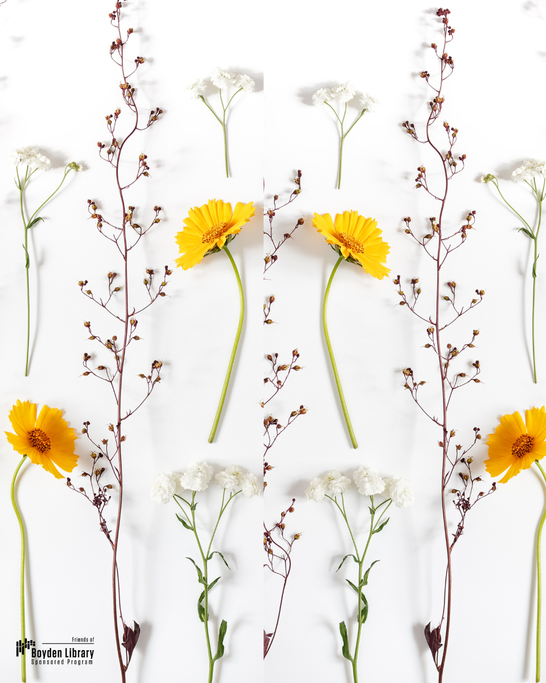 dried flowers