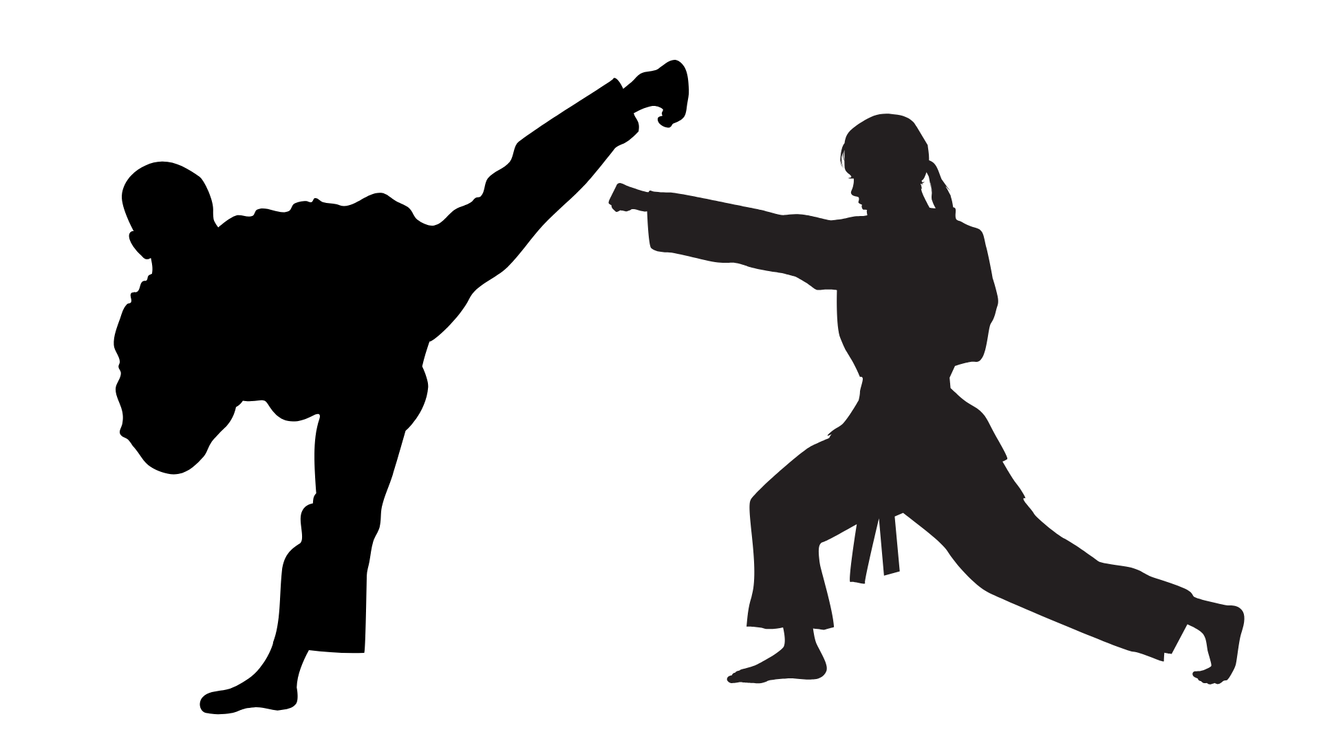 martial arts figures