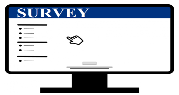 Strategic Plan Survey