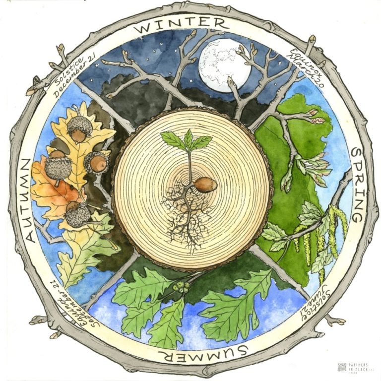 Image of phenology