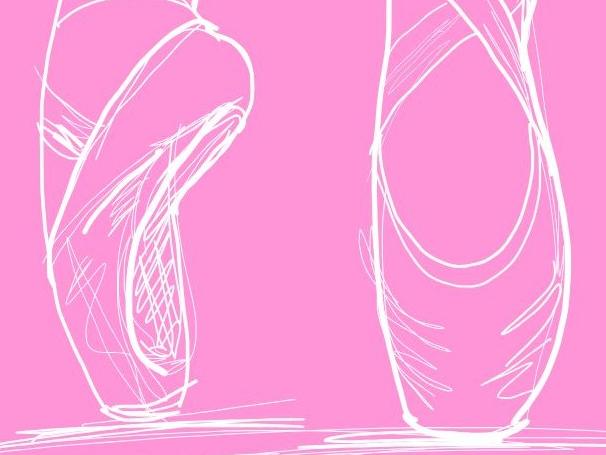 ballet slippers