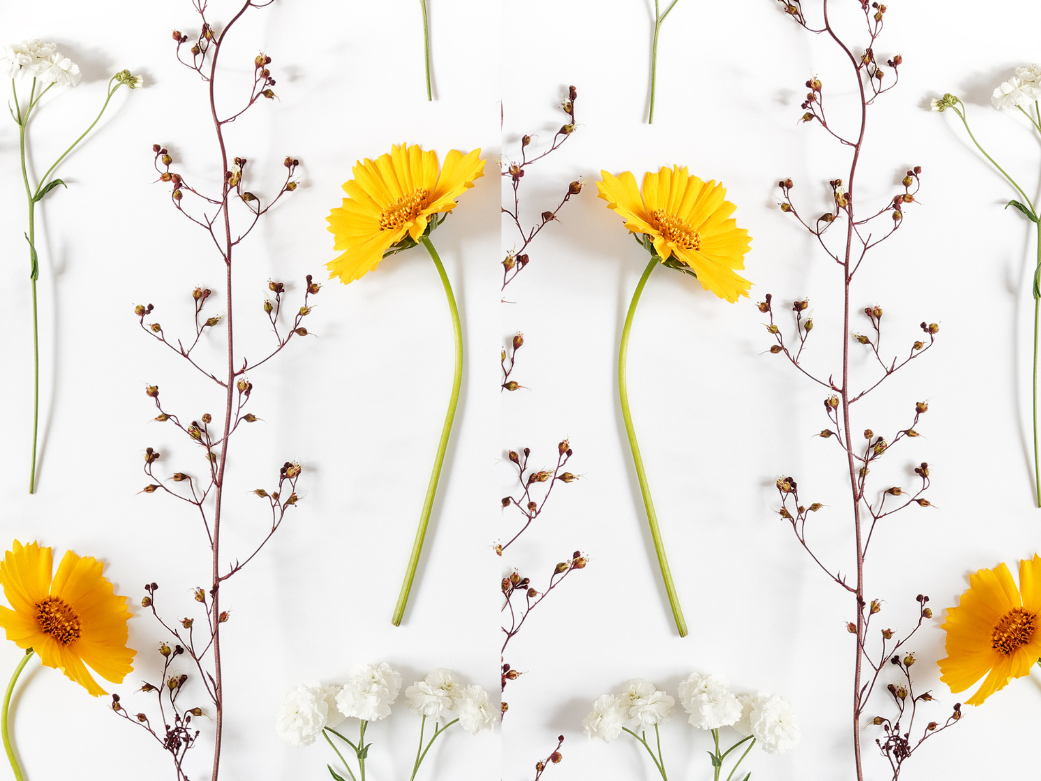 dried flowers