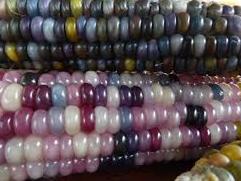 Beaded Glass Gem Corn