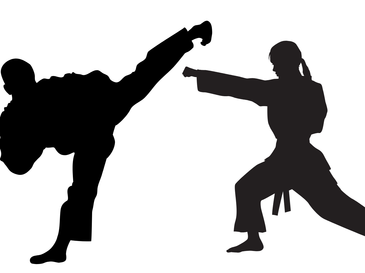 martial arts figures