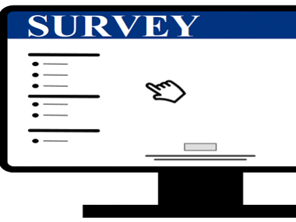 Strategic Plan Survey